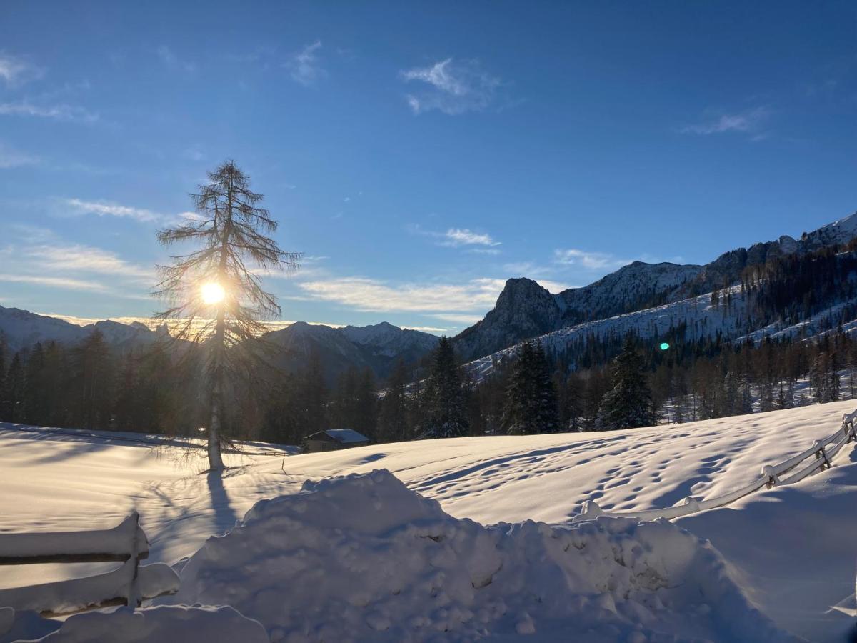 Renoviertes Apartment Mit Terrasse An Der Piste Mit Kostenlosen Wifi Carezza al Lago Bagian luar foto